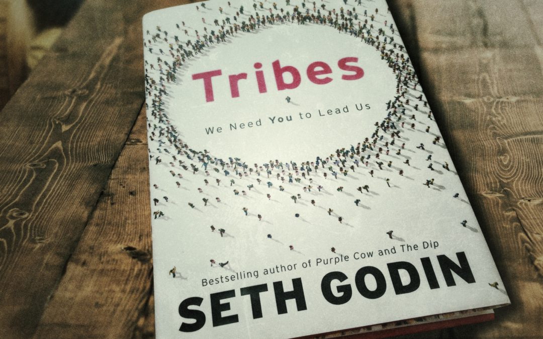 Tribes by Seth Godin BigLife